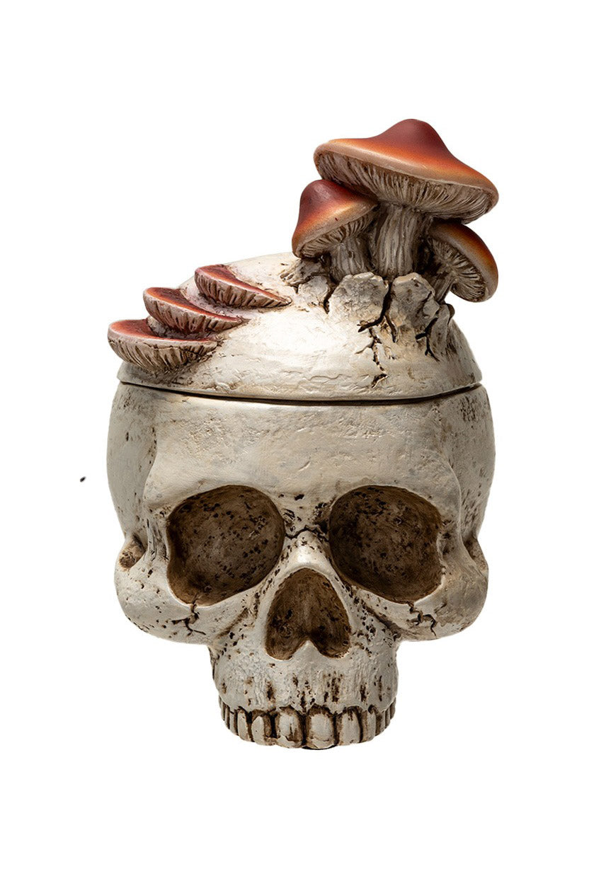 skull trinket box