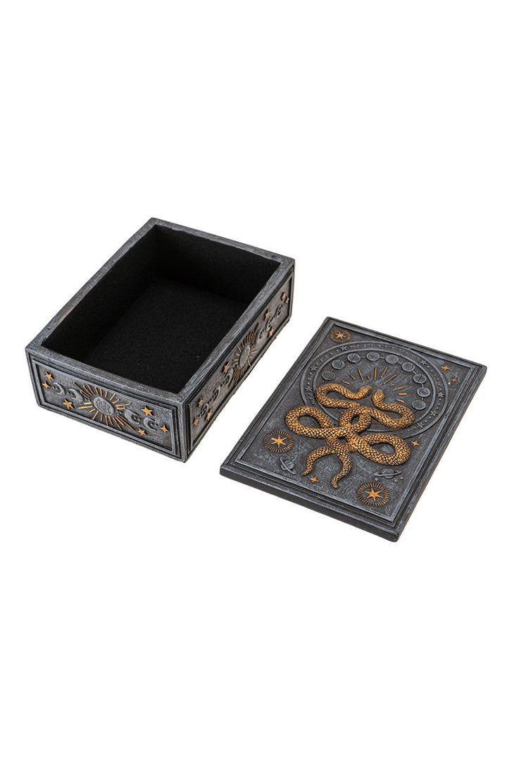 occult witchy coin box