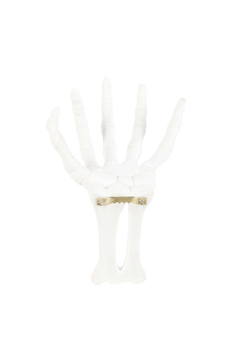 Gothic Halloween Skeleton Hand Wall Hook - Thumbnail 2
