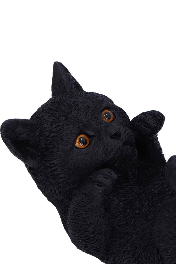 halloween black cat housewares