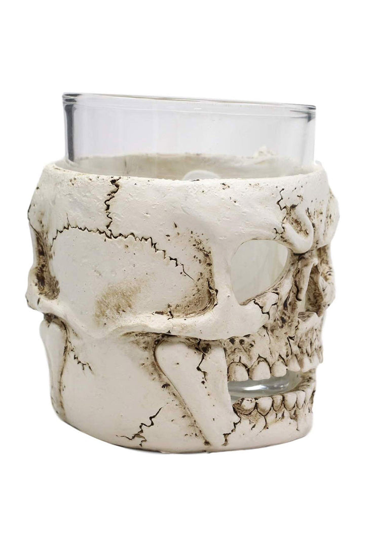 pirate gothic skull drinking glass