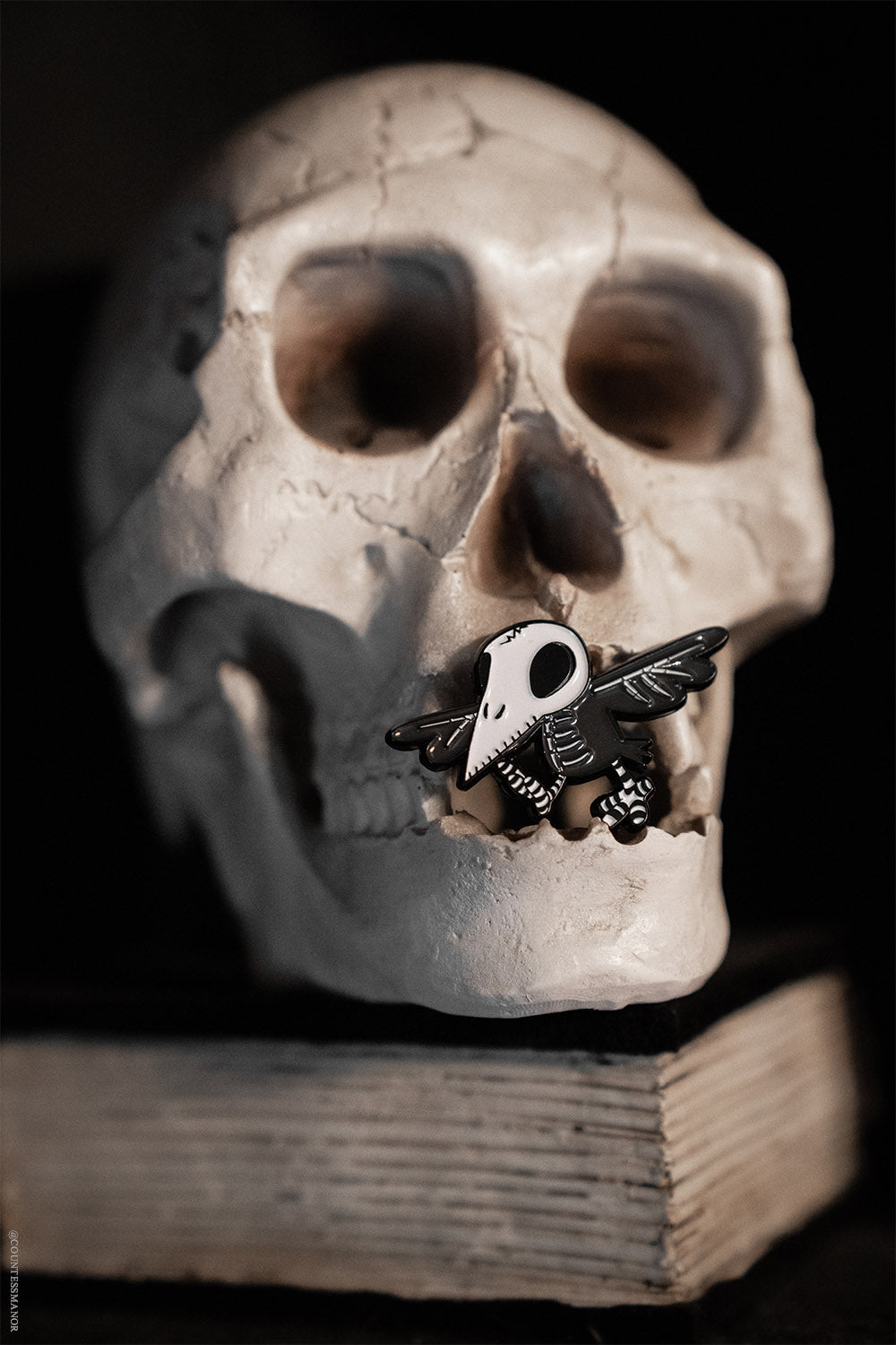 skeleton crow enamel pin