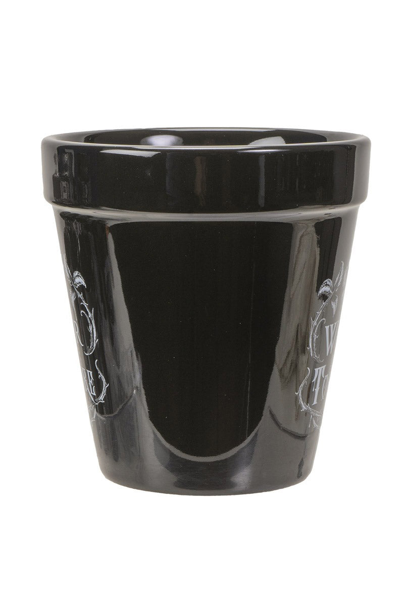 Water Don't Torture Garden Planter