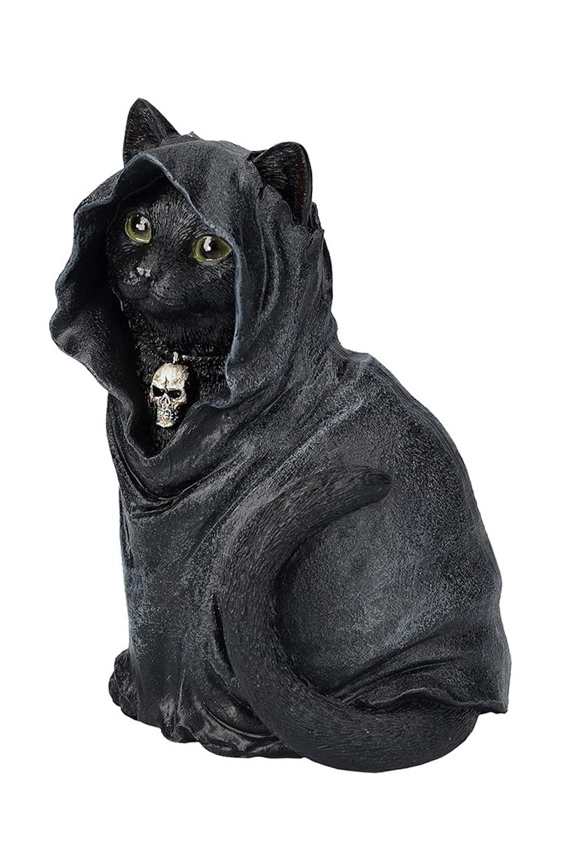 Black Cloak Cat