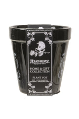 Water Don't Torture Garden Planter