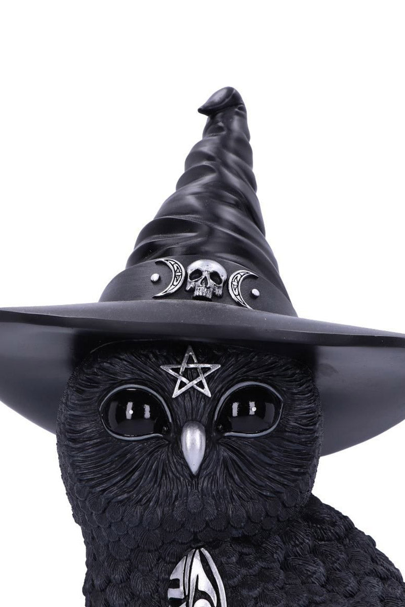 spooky owl wearing witch owl sculpture