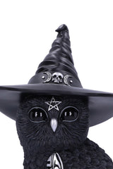 spooky owl wearing witch owl sculpture