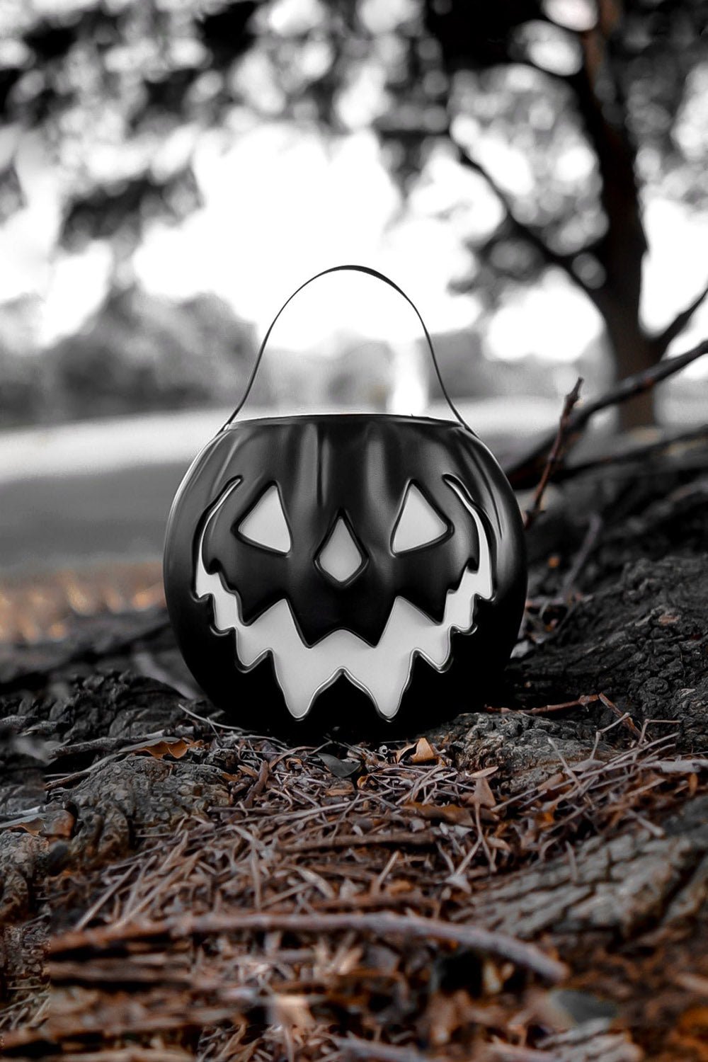 Haunted Hallows Pumpkin Pail [BLACK] - bags & wallets - VampireFreaks - Lively Ghosts
