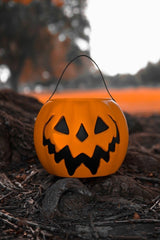 Haunted Hallows Pumpkin Pail [ORANGE] - housewares - VampireFreaks - Lively Ghosts