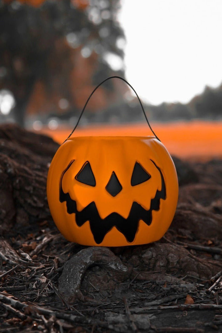 Haunted Hallows Pumpkin Pail [ORANGE] - housewares - VampireFreaks - Lively Ghosts