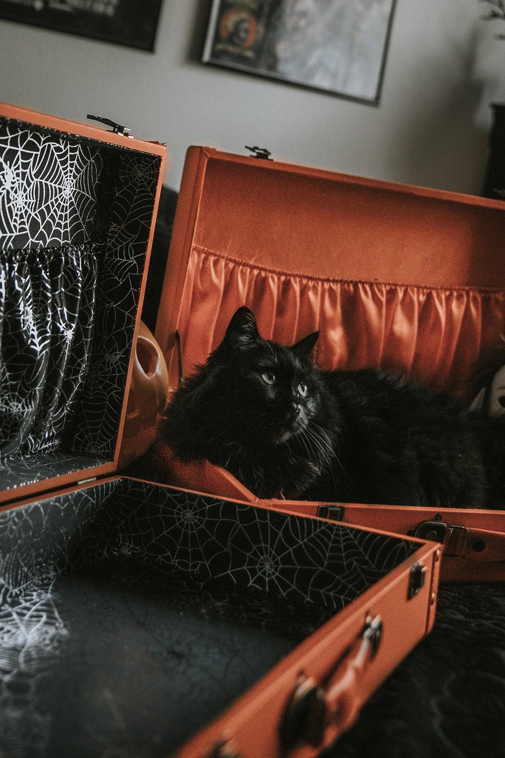 Haunted Hallows Trunk [ORANGE/SPIDERWEBS] - bags & wallets - VampireFreaks - Lively Ghosts