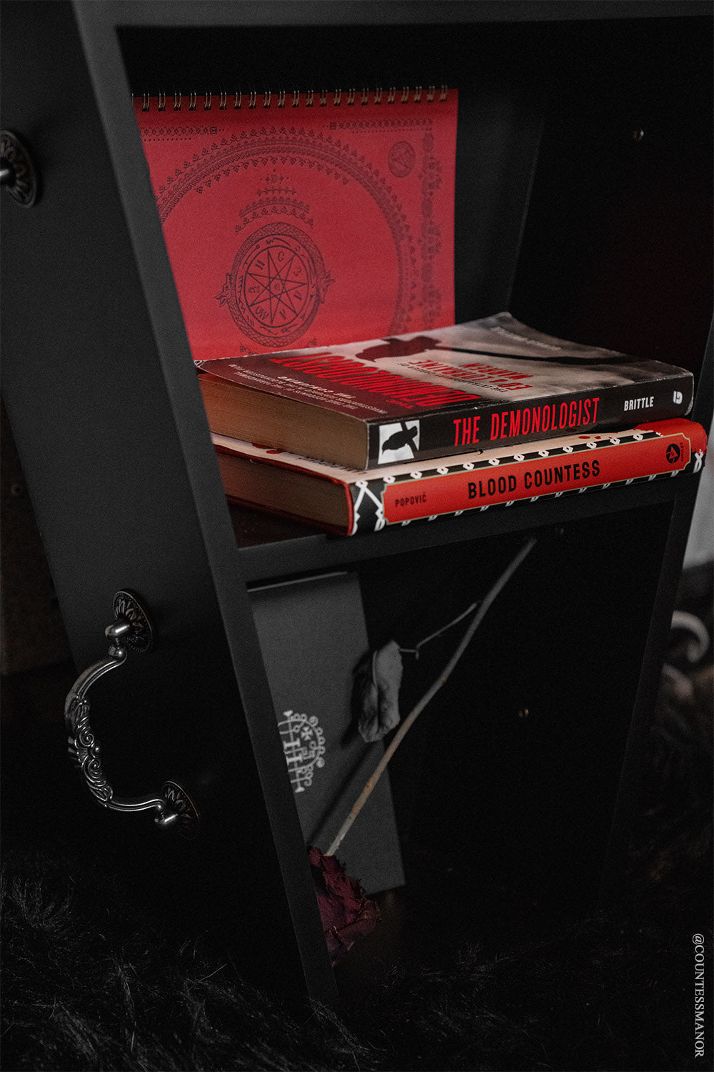 black victorian goth coffin shelf with antique hardware 