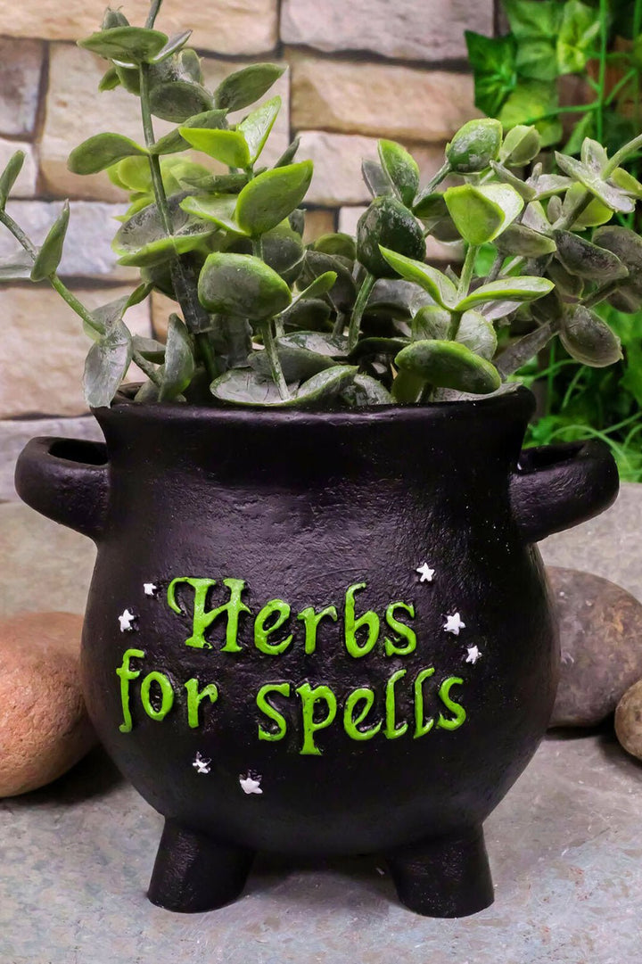 Herbs for Spells Cauldron Planter - housewares - VampireFreaks - Pacific Giftware