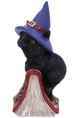 Hocus Witches Familiar Black Cat and Spellbook Figurine - toys - VampireFreaks - Nemesis Now