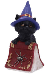 Hocus Witches Familiar Black Cat and Spellbook Figurine - toys - VampireFreaks - Nemesis Now