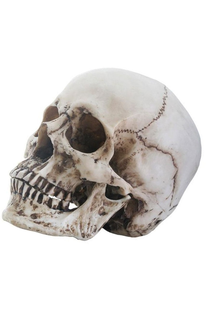 gothic skull home decor