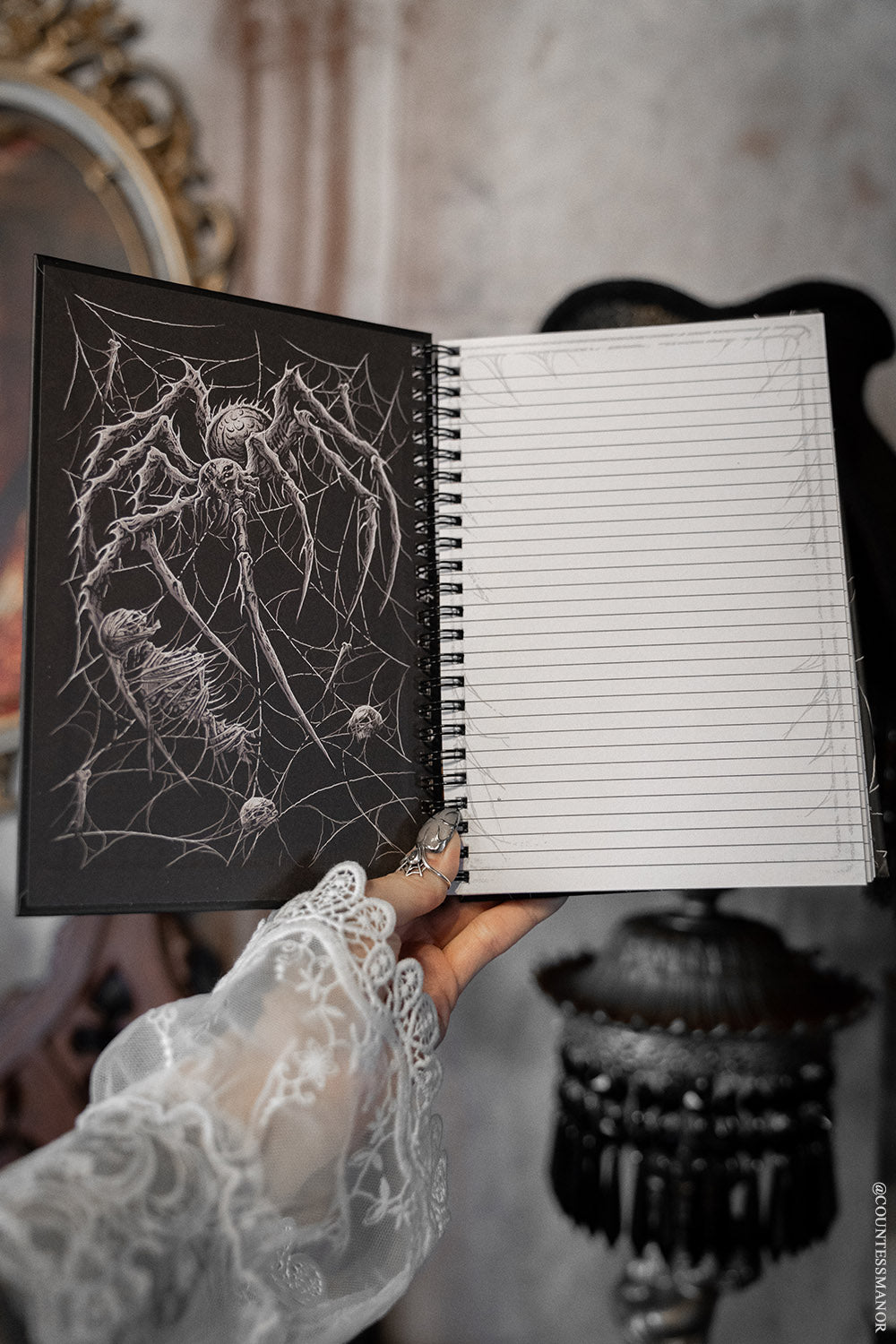 horror spider black widow journal notebook