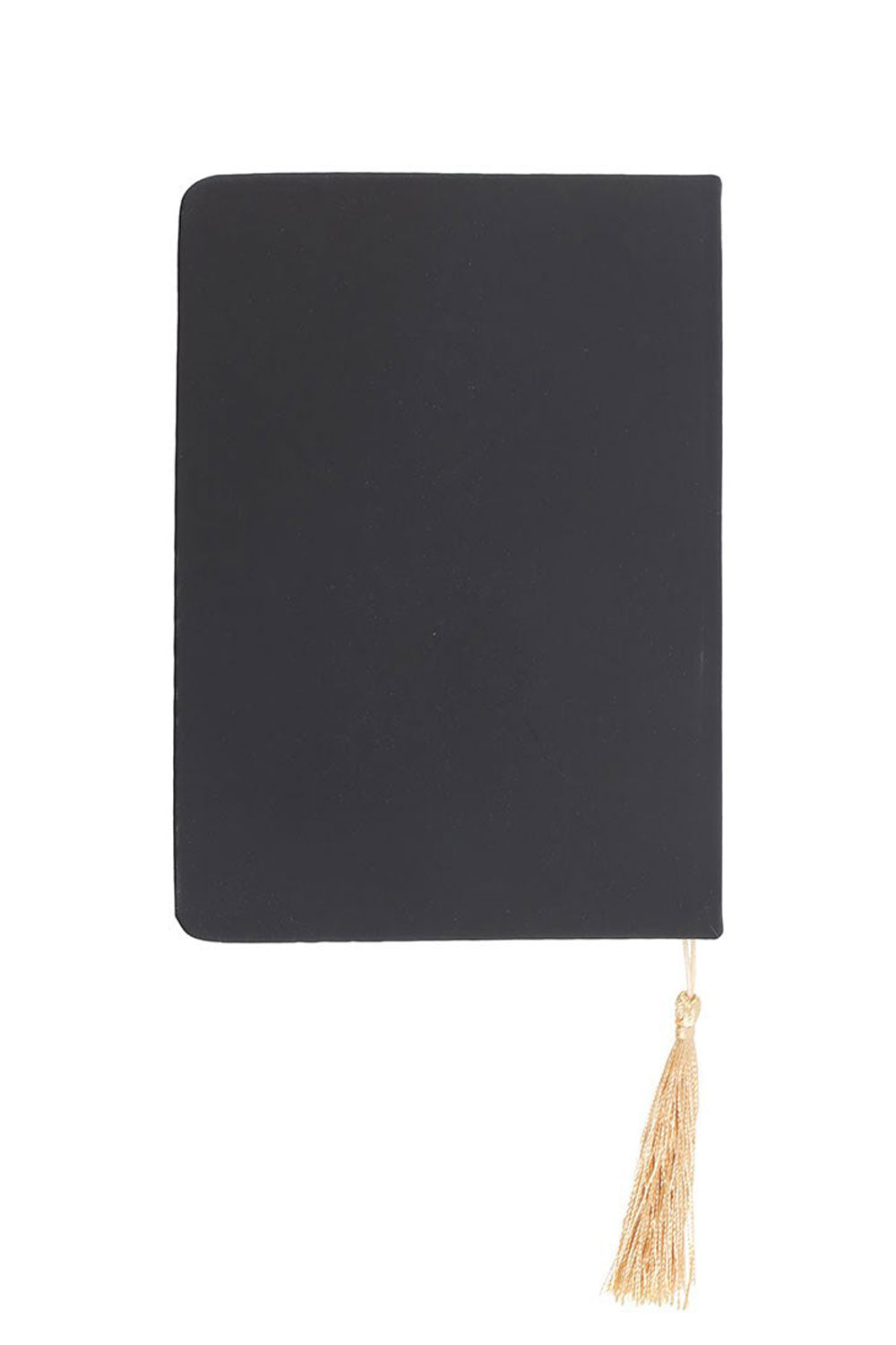 Back view of Mystic Raven journal from Something Different