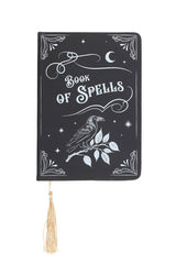 Book of spells journal from Something Different
