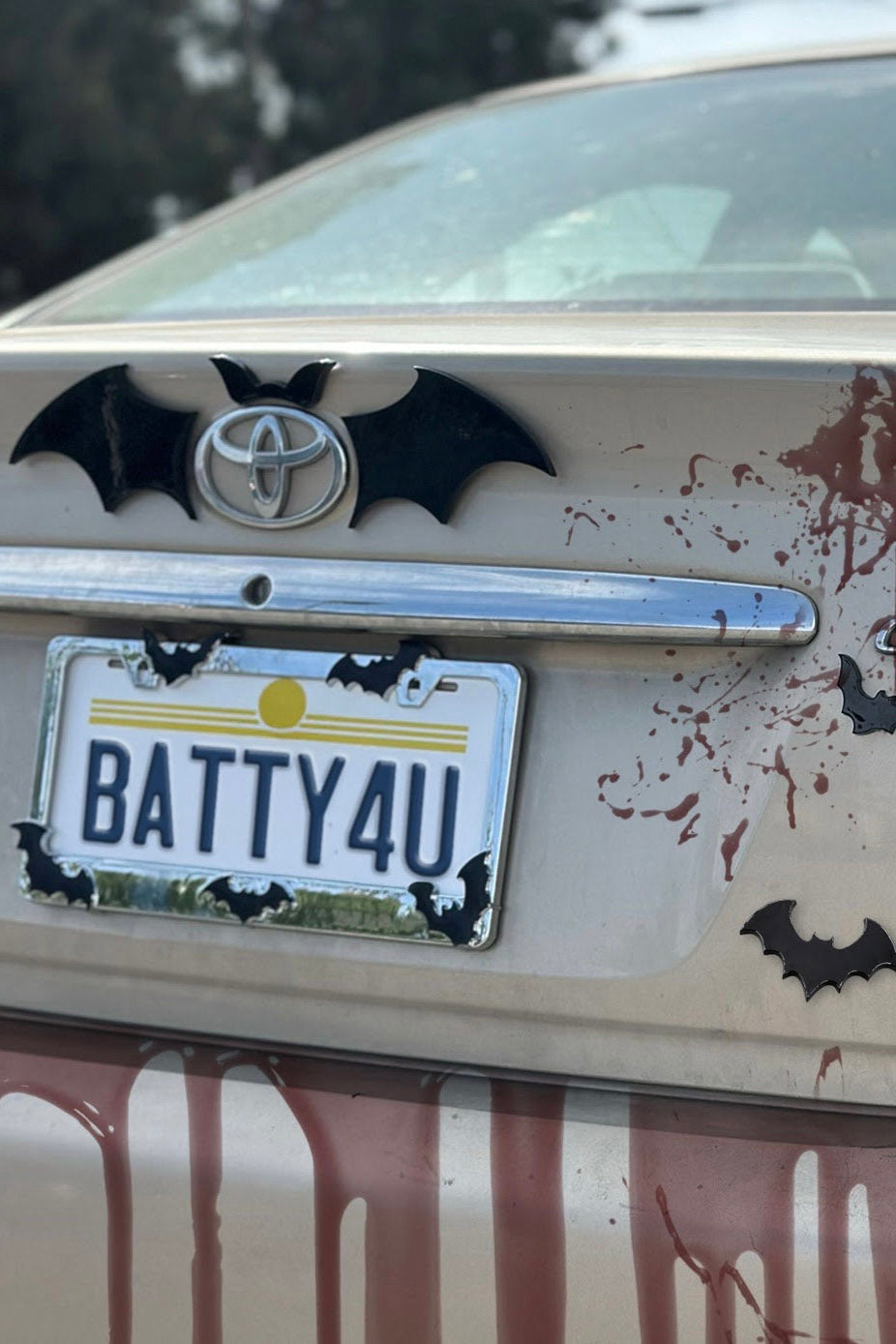 bat license plate
