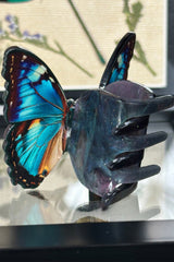 kawaii butterfly bug hair clip claw set
