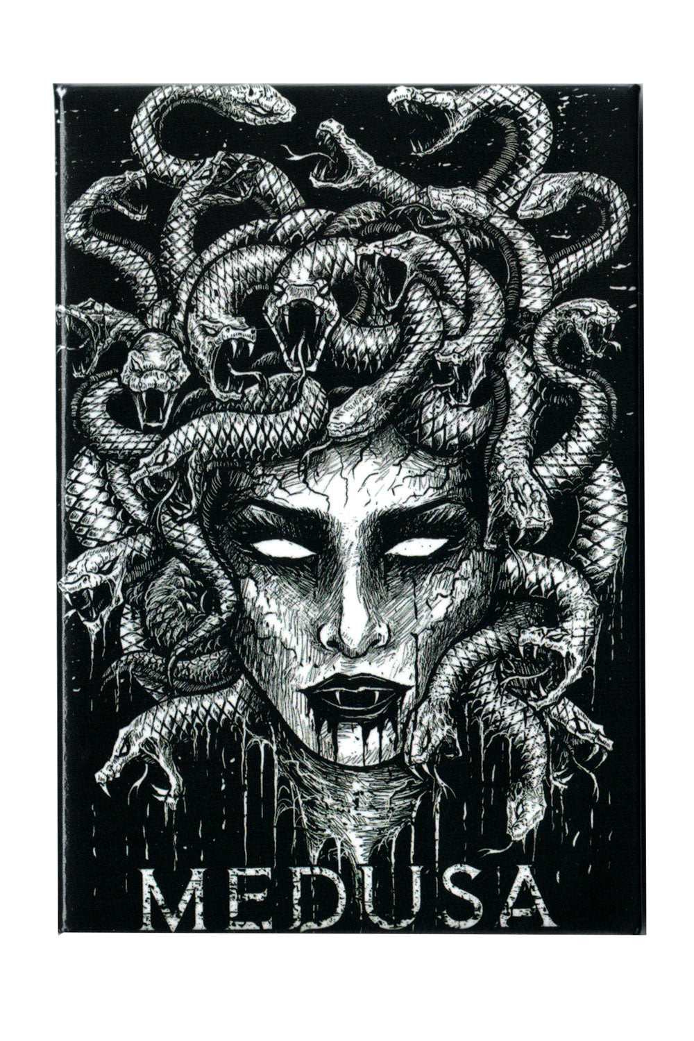 medusa magnet