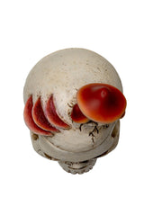 dark cottagecore skull and mushroom box 