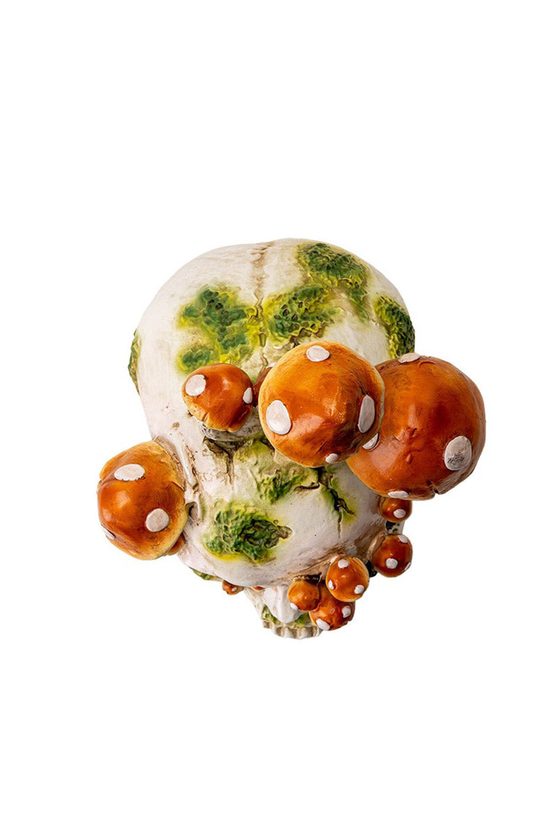 cottage witch home decor by pacific giftware 