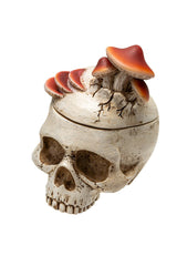 mushroom growing out of skull jewelry box 
