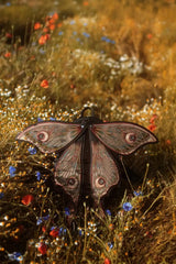 fairycore backpack with attached wings by restyle