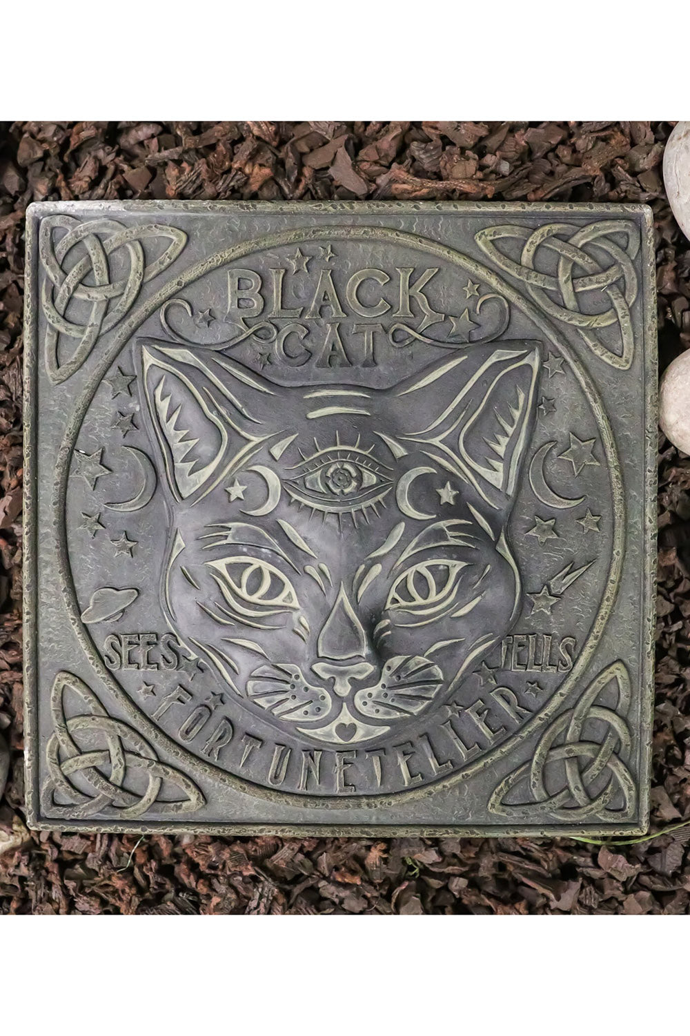 Black Cat Stepping Stone