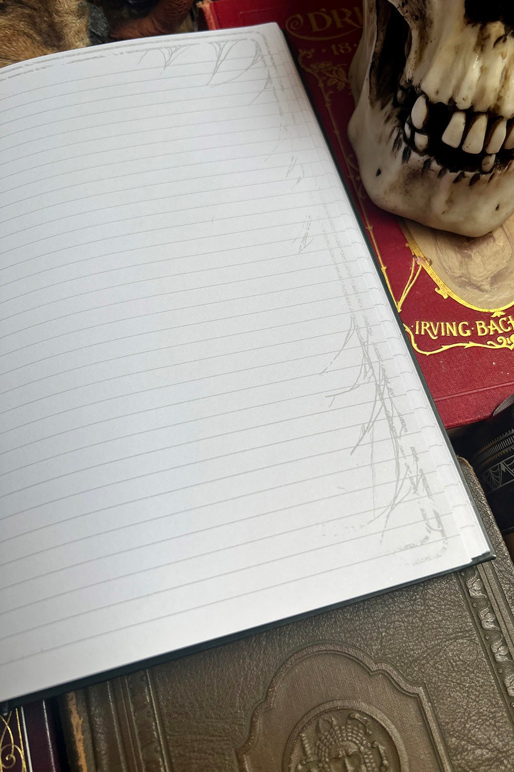 gothic notebook with spiderweb pages