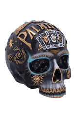 skull sculpture gothic home decor