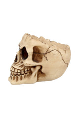 pirate trinket storage holder