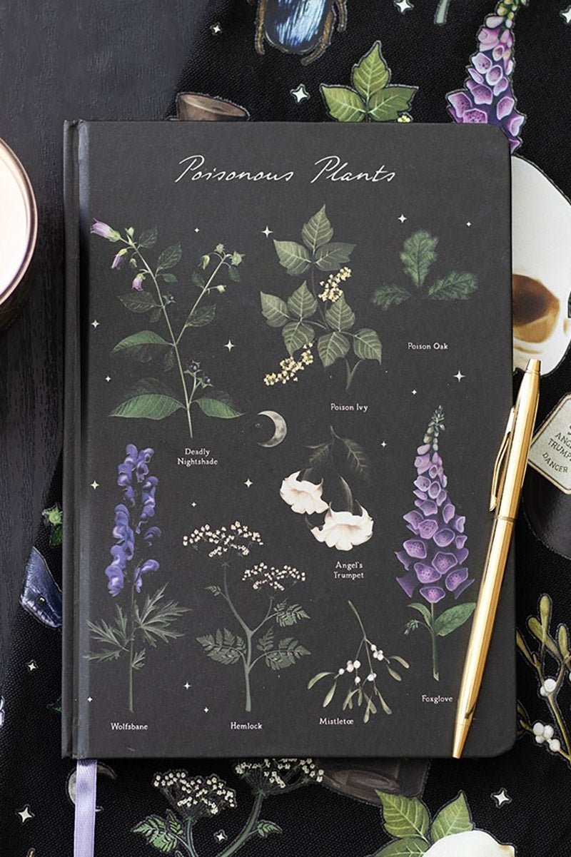 witchy dark cottagecore notebook