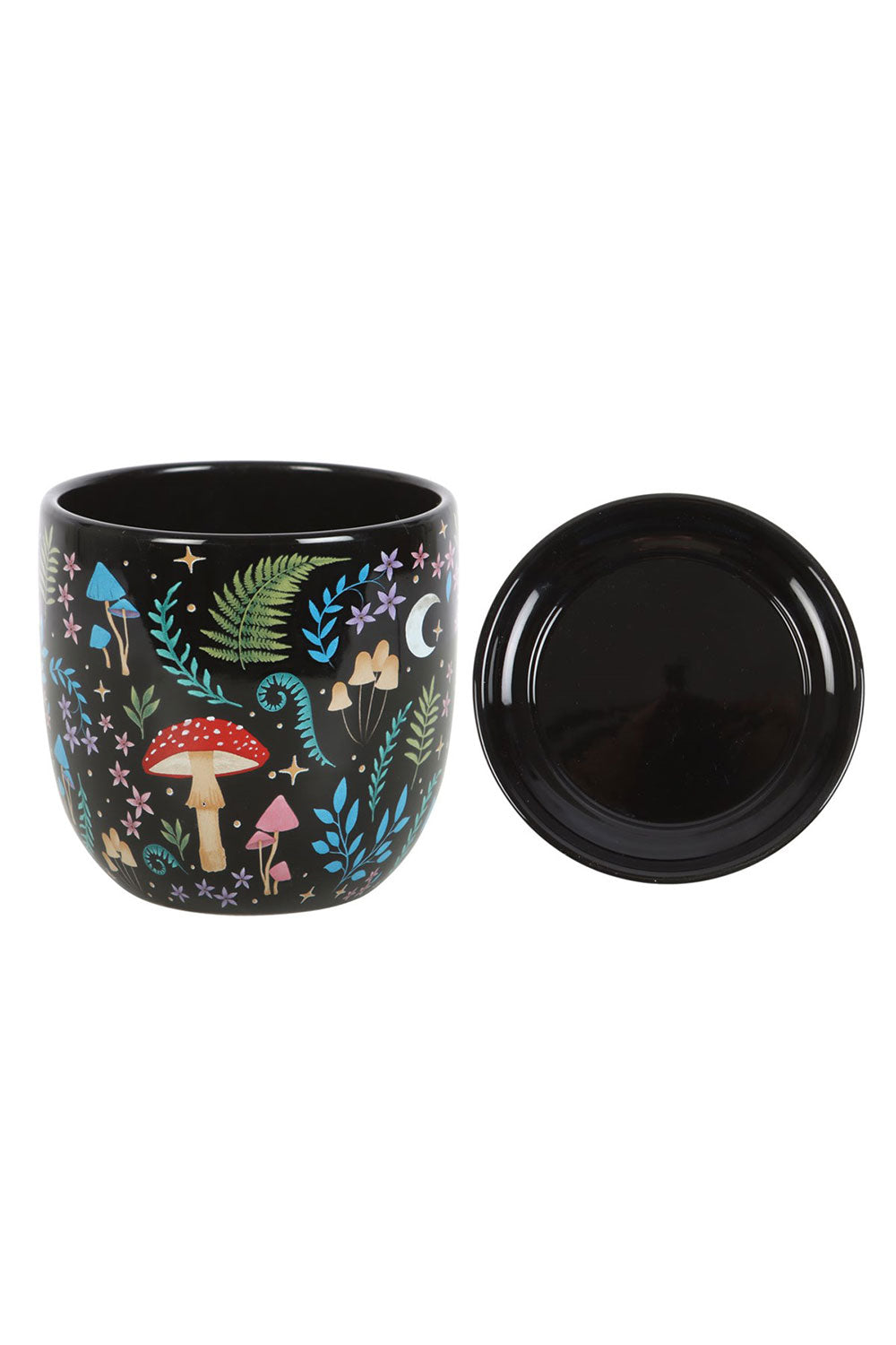 Whimsical black plant pot