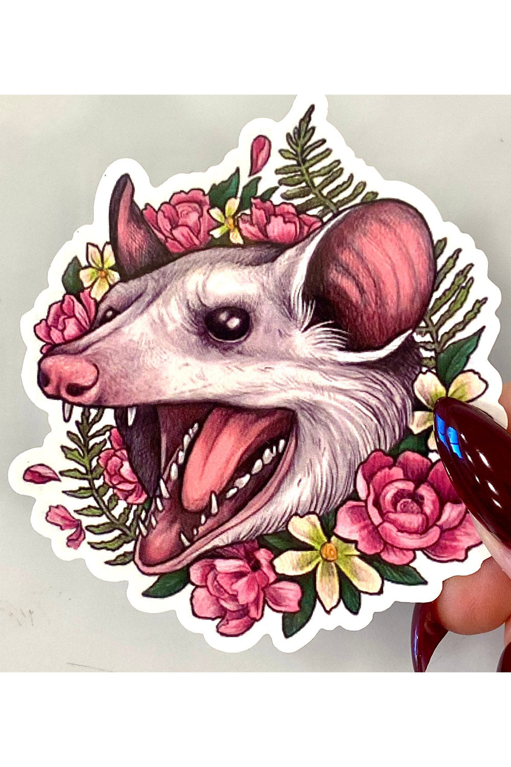 funny possum sticker