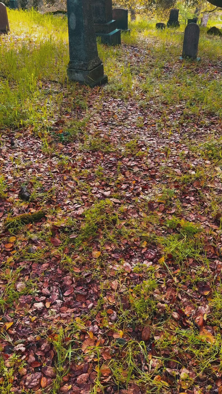 video of tattooed man wearing punk clothes