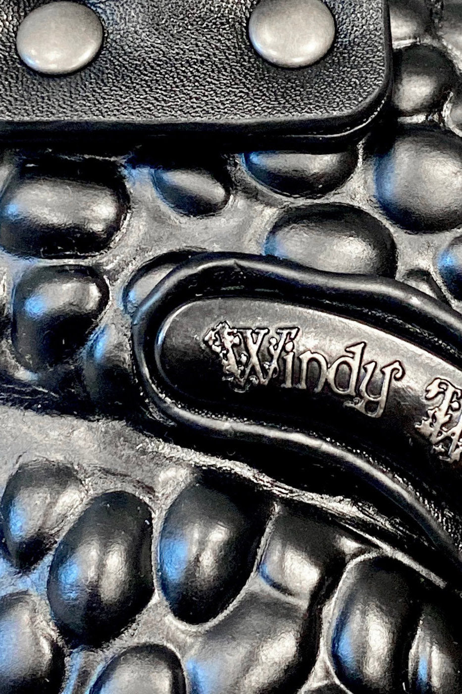 black toad shaped 3d purse by the Windy Willow 