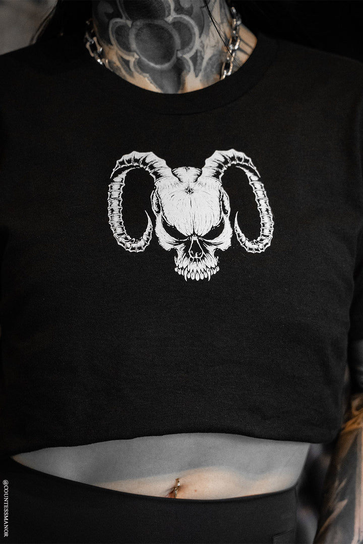 scary punk skull t-shirt with wings on the back 