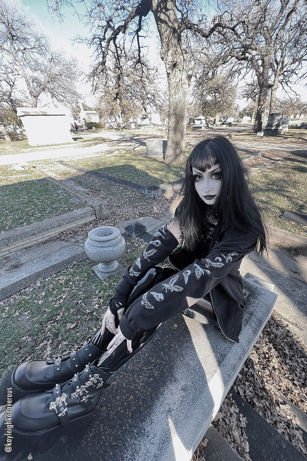 Quoth the Raven Hoodie [GRAY]