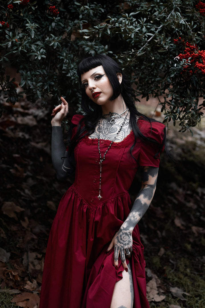 pretty romantic goth old fashioned long dress