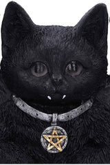 gothic door knocker