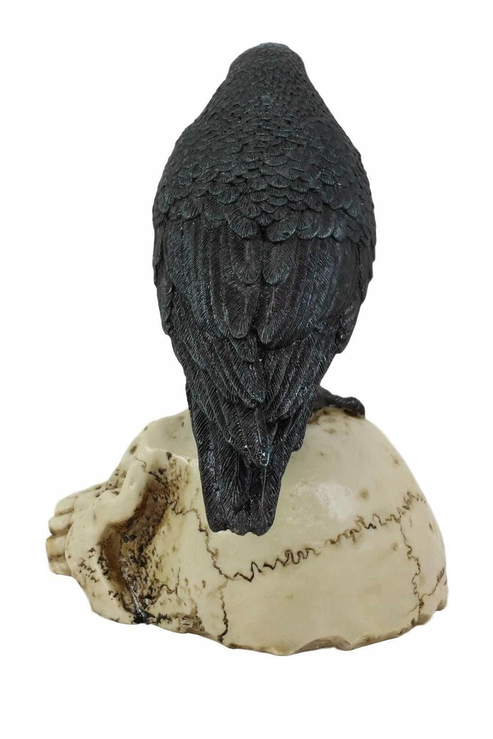 halloween Black crow perched on a skull  statue against a white background