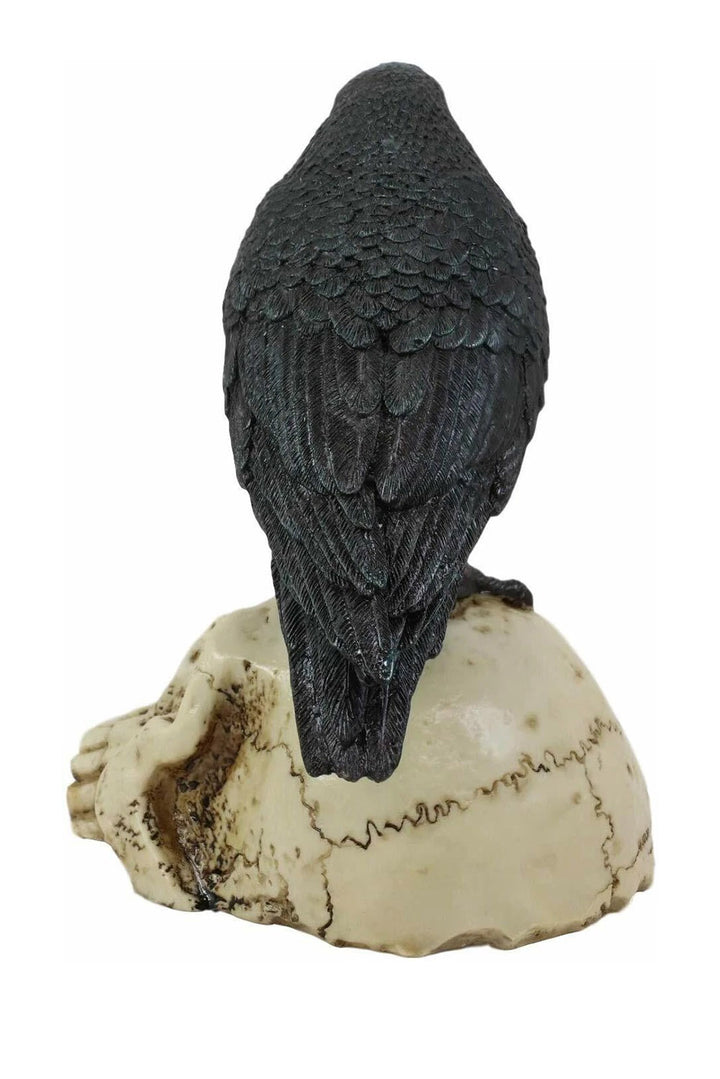 halloween Black crow perched on a skull  statue against a white background