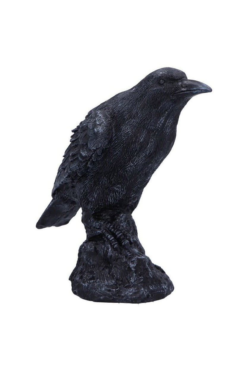edgar allan poe home decor