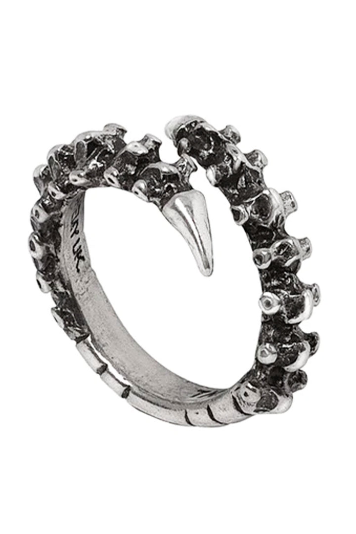 Occult spine ring with vertebrae detail