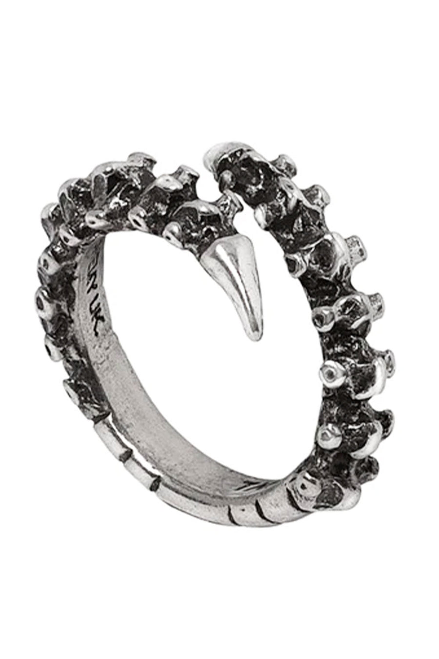 Occult spine ring with vertebrae detail