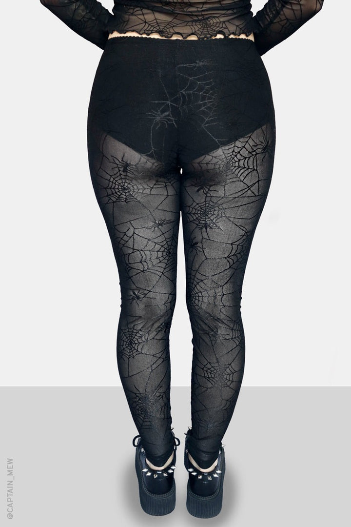 womens sheer gothic tights