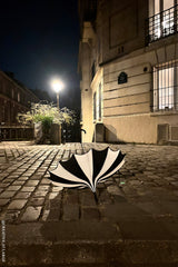 Fledermausflügel-Pagodenschirm [SCHWARZ/WEISS GESTREIFT]